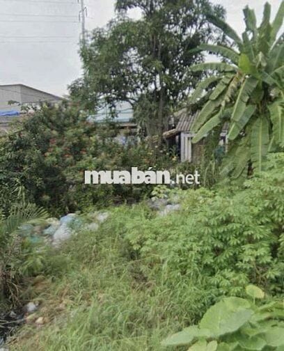 chính chủ bán ngộp đất dt 81,5m2 giá 975tr Q8