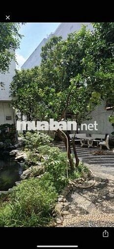 CHO THUÊ BIỆT THỰ SIÊU DỄ THƯƠNG ĐƯỜNG TRỊNH ĐÌNH TRỌNG TÂN PHÚ