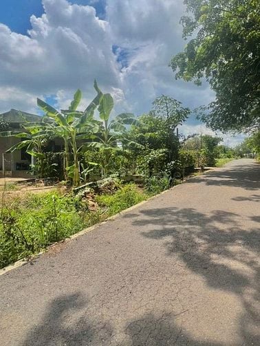 Đất Chú Năm cần bán gấp trả nợ ngân hàng, Bình Dương diện tích 300m2
