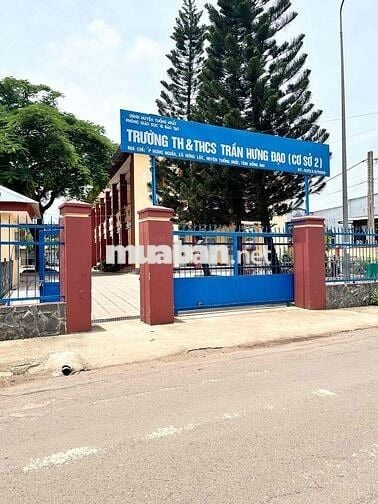🔥 CẦN BÁN LÔ ĐẤT MẶT TIỀN HƯNG LỘC - THỐNG NHẤT - GIÁ CỰC TỐT🔥