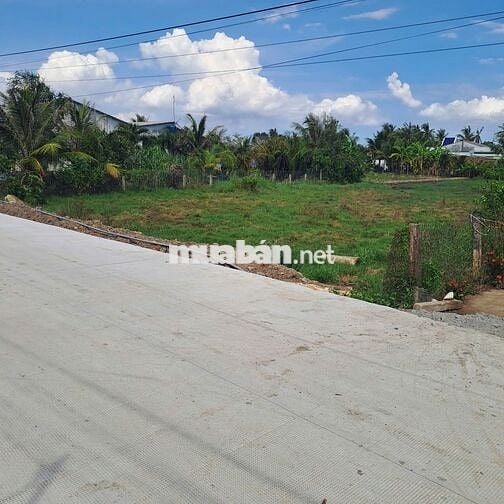 1100m2 đất lúa có sẵn thổ cư MT 6m Tân Trụ, Long An, giá 1.7 tỷ