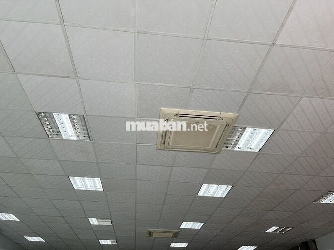 Cho thuê Mặt bằng /showroom 2 tầng,đất 200m2 mặt tiền Nguyễn Phước Lan