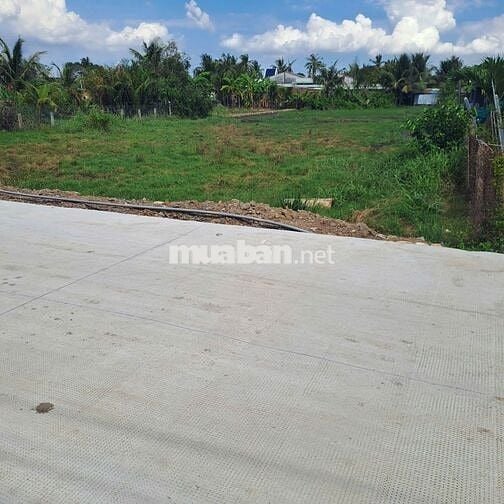 1100m2 đất lúa có sẵn thổ cư MT 6m Tân Trụ, Long An, giá 1.7 tỷ