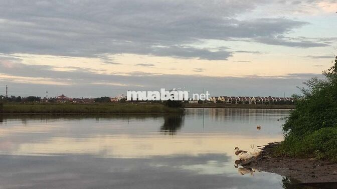 Đất cẩm kim view lúa chính chủ
