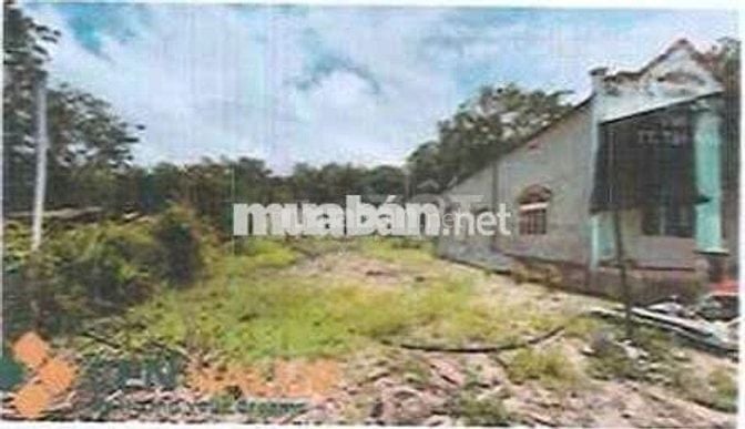 Bán ĐGTS đất tại xã Tân Khai, tỉnh Đồng Nai