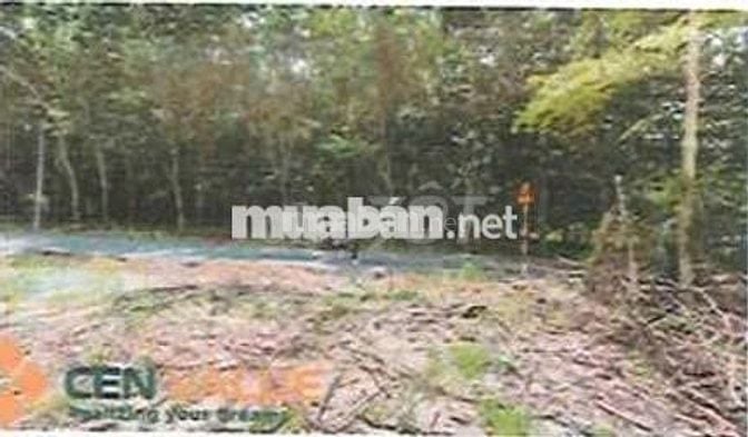 Bán ĐGTS đất tại xã Tân Khai, tỉnh Đồng Nai