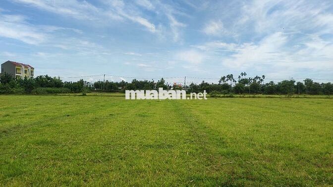 Đất cẩm kim view lúa chính chủ