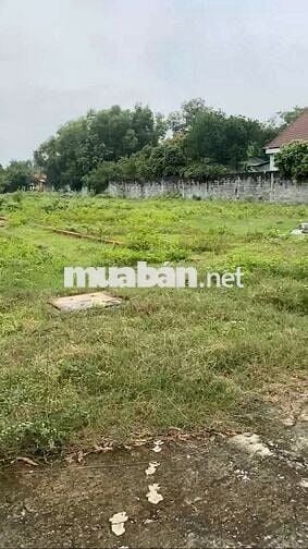 Bán gấp đất ngộp ngân hàng, 3.515m² full thổ cư (31x96),đã tách 3 sổ