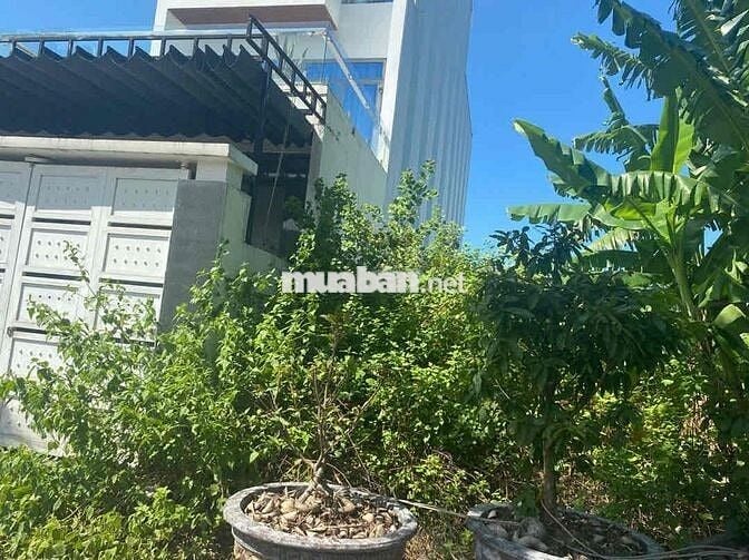BÁN LÔ ĐẤT PHAN HUỲNH ĐIỂU – GẦN NGUYỄN PHƯỚC LAN – 122.5M² – SỔ ĐẸP –