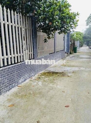 Đất ngộp ra QL22 đúng 200m ngang 4m dài 17m, full thổ SHR 450 triệu th
