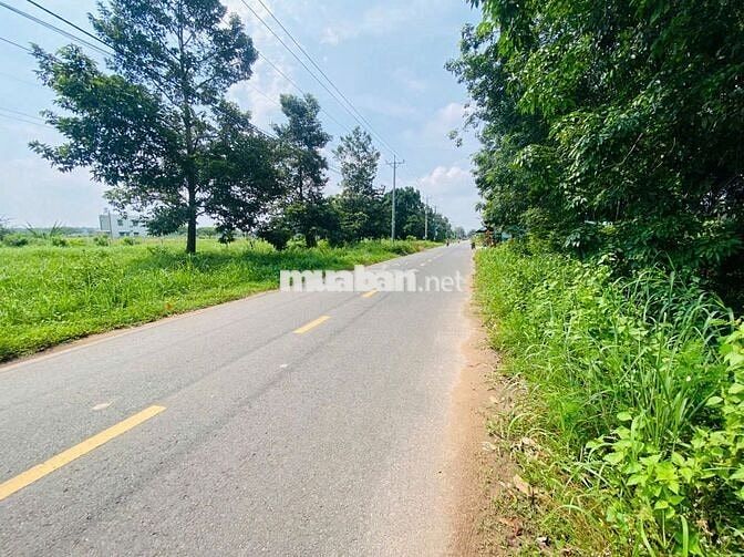 Gần trường cấp 1 📐 Diện tích: 12x25m – 2 lôLK 3TỶ500 TRIỆU