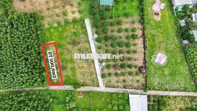 GIẢM GIÁ CỰC SỐC! 500M2 ĐẤT THỔ  MẶT TIỀN ĐƯỜNG OTO- DIÊN KHÁNH.