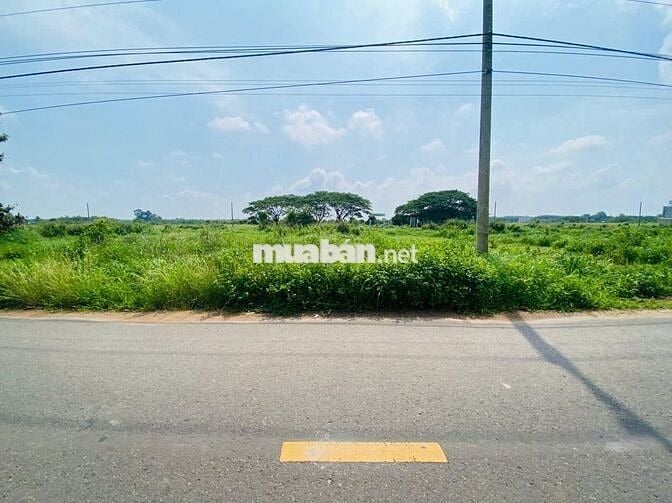 Gần trường cấp 1 📐 Diện tích: 12x25m – 2 lôLK 3TỶ500 TRIỆU