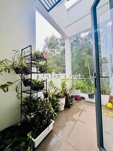 Nhà 1 lầu 1 trệt hẻm dx31 Phú mỹ ,gần chợ,đường 5m thông