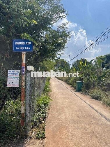 Đâấ sổ hồng thổ cư cách quốc lộ 1 a 400m dân cư đông bán gấp