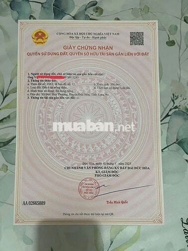 CẦN BÁN GẤP LÔ ĐÁT 300 M THỔ -LH NGAY VÀO VIỆC
