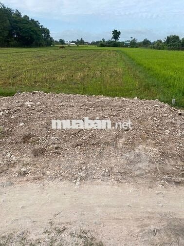 CẦN BÁN GẤP LÔ ĐÁT 300 M THỔ -LH NGAY VÀO VIỆC