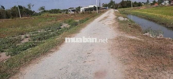 CẦN BÁN GẤP LÔ ĐÁT 300 M THỔ -LH NGAY VÀO VIỆC