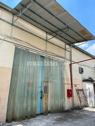 Cho thuê nhà xưởng ngay KCN Sóng Thần, đường container 20feet, Thủ Đức