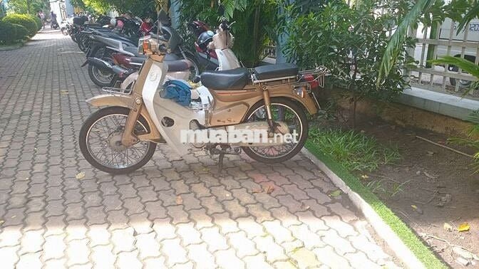 Honda Cub 50 có đề BSTP 9 chủ