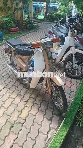 Honda Cub 50 có đề BSTP 9 chủ