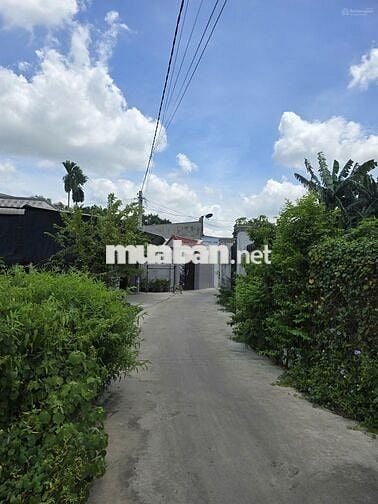Bán đất đô thị 115m2 ngay khu phố Lộc Du cách Co.opmart, 800Tr bao sổ