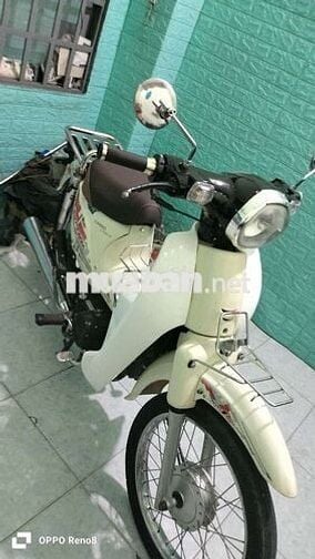Cub 50cc