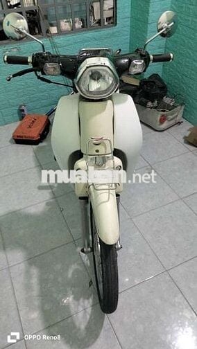 Cub 50cc