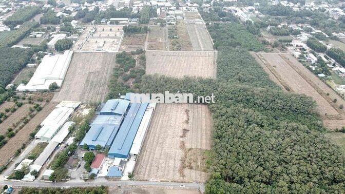 Cần bán gần 1.3ha, vị trí rất đẹp. Cách sân bay Long Thành 7.5km