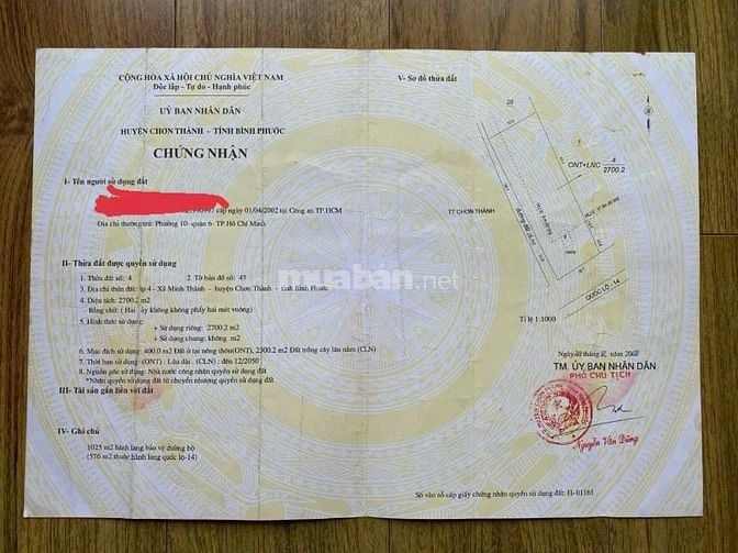 Chính chủ cho thuê đất MT QL14 Chơn Thành Bình Phước