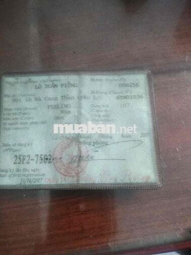 win liên doanh giấy tờ đầy đủ