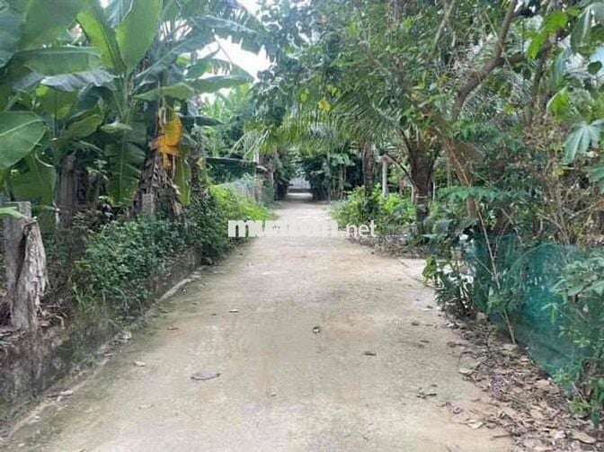 chào bán lô đất vườn có đất ở diện tích 220m có 120m đất ở