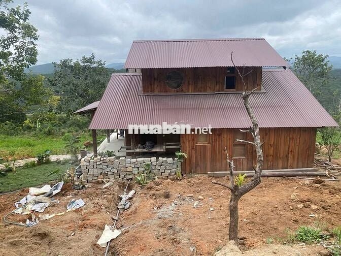 Bán gấp mảnh đất Xuân Trường DL diện tích 1200m2 giá 650tr tặng nhà gỗ