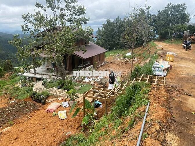 Bán gấp mảnh đất Xuân Trường DL diện tích 1200m2 giá 650tr tặng nhà gỗ