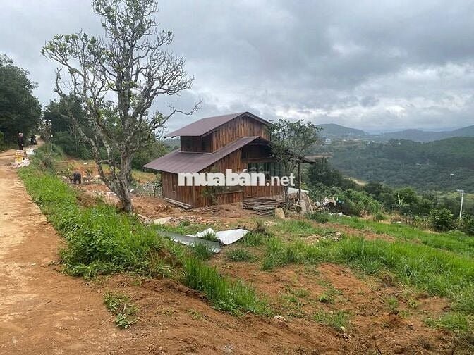 Bán gấp mảnh đất Xuân Trường DL diện tích 1200m2 giá 650tr tặng nhà gỗ