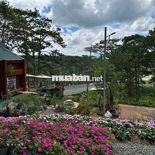 Đất view cực kỳ đẹp, diện tích lên đến 1190m² tại Định Quán giáp suối