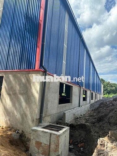 Cho thuê nhà xưởng 7364 m2 Mới 100% Tân Uyên - Bình Dương