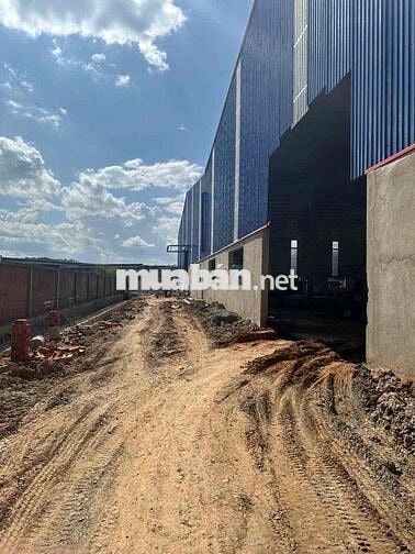 Cho thuê nhà xưởng 7364 m2 Mới 100% Tân Uyên - Bình Dương