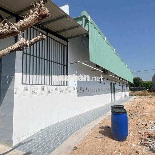 CẦN BÁN DẪY TRỌ Ở VĨNH TÂN - TÂN UYÊN DT 160M2 GIÁ CHỈ từ 1,35 TỶ. SHR
