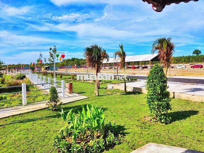ĐẤT NỀN VĨNH TÂN, TÂN UYÊN GIÁ RẺ LẰM GẦN ĐẠI LỘ UYÊN HƯNG THỦ DẦU MỘT