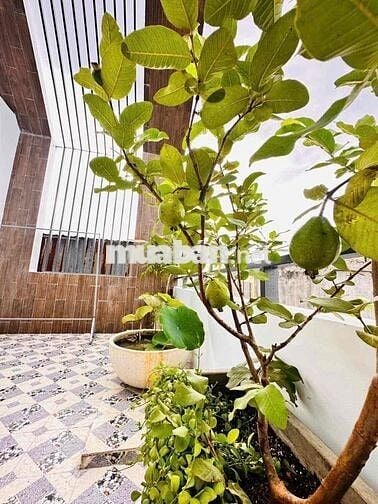 Nhà Phố Đẹp - Rẻ An Phú Đông- TP.HCM