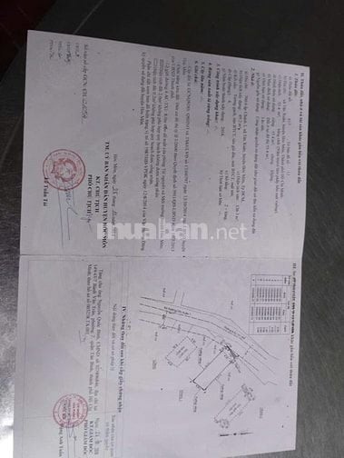 ✅CHÍNH CHỦ BÁN NHÀ SHR ĐƯỜNG XE TẢI 1/LÊ THỊ HÀ TÂN XUÂN , HÓC MÔN