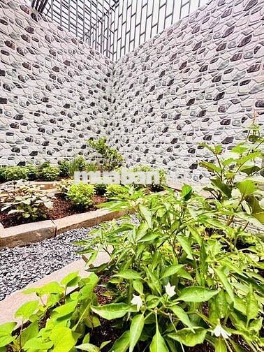 Nhà Phố Đẹp - Rẻ An Phú Đông- TP.HCM