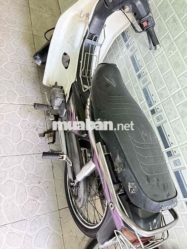 Dream lùn thái 99 biển sài gòn