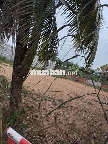 Bán đất xã Phú Mỹ, Tân Phước, Tiền Giang (Xã Hưng Thạnh-Đồng Tháp)