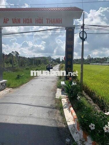 đât ơ nông thôn diên tich 385,3 met thô cư 150 met sô hông chinh chu
