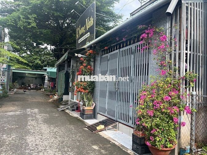 BÁN DÃY TRỌ TẠI TÂN ĐỊNH  - BẾN CÁT GIÁ RẺ. DT 100M2  GẦN KDL ĐẠI NAM