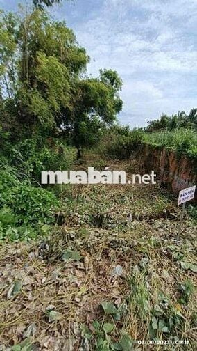 CẦN BÁN ĐẤT CHÍNH CHỦ, SANG TÊN NHANH GỌN