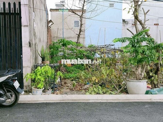 Bán đất An Phước 100m2 2ty4 sổ riêng