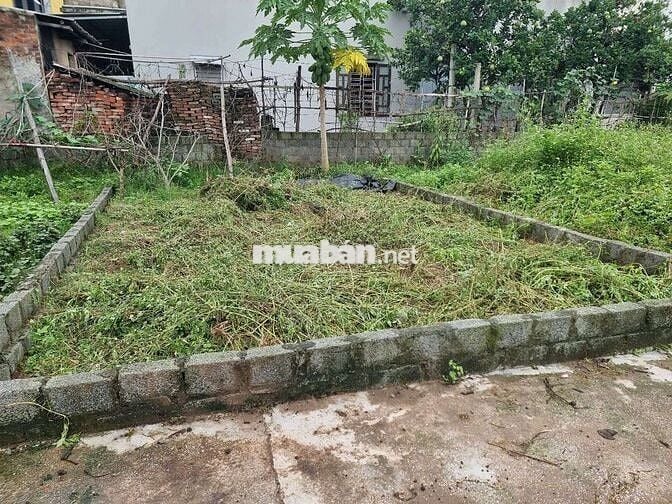💥 SIÊU ĐẸP ĐẤT 👉 Đào Xá, Thắng Lợi, Thường Tín - HÀ NỘI 👉 Gần Quốc